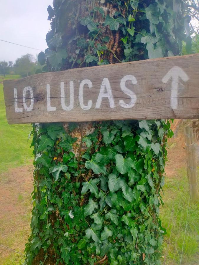 Vivienda Pasiega Lo Lucas 1920 San Roque de Ríomiera Esterno foto